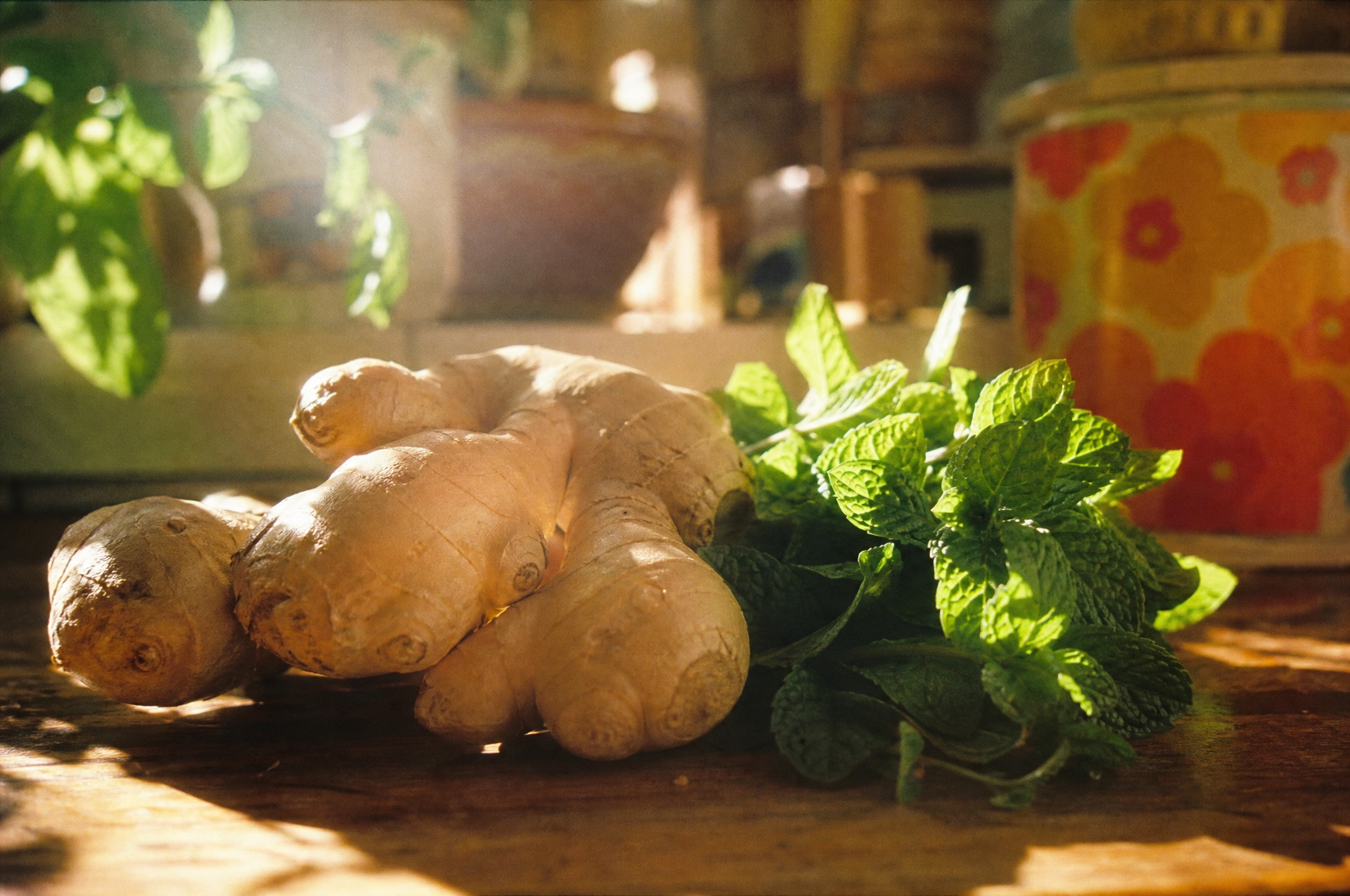 Ginger root and peppermint leaves side by side — comparing natural nausea remedies