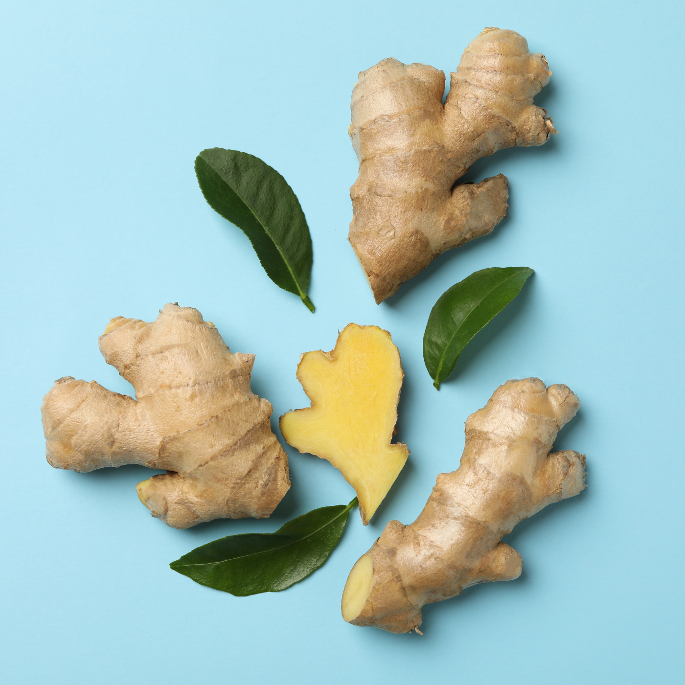 Classic Fruit Goodness Ginger Bundle (Peach, Pear, Apple & Pineapple), 4 ct